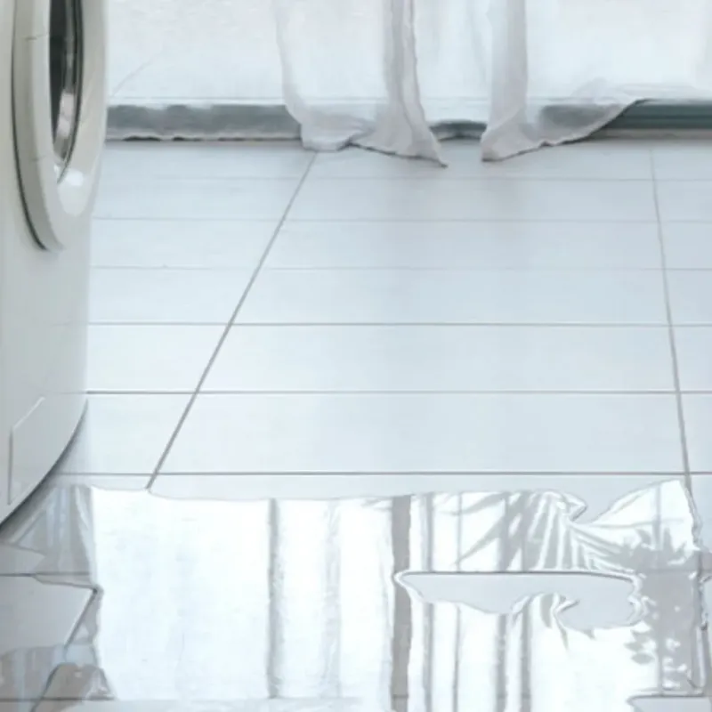 Appliance Leak Cleanup in West Sedona, AZ