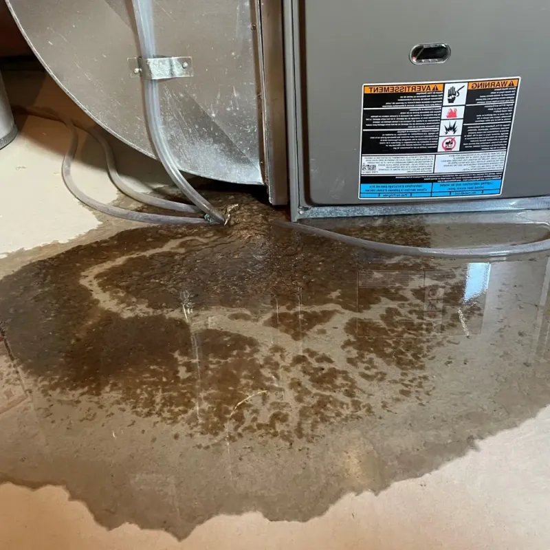 Pipe Burst and Leak Restoration in West Sedona, AZ